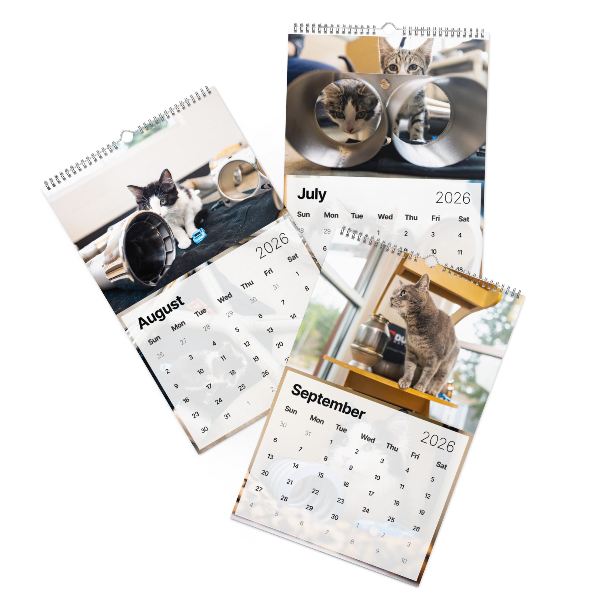 Dundon | Kitsap Humane Society Charity Wall Calendar (2026)