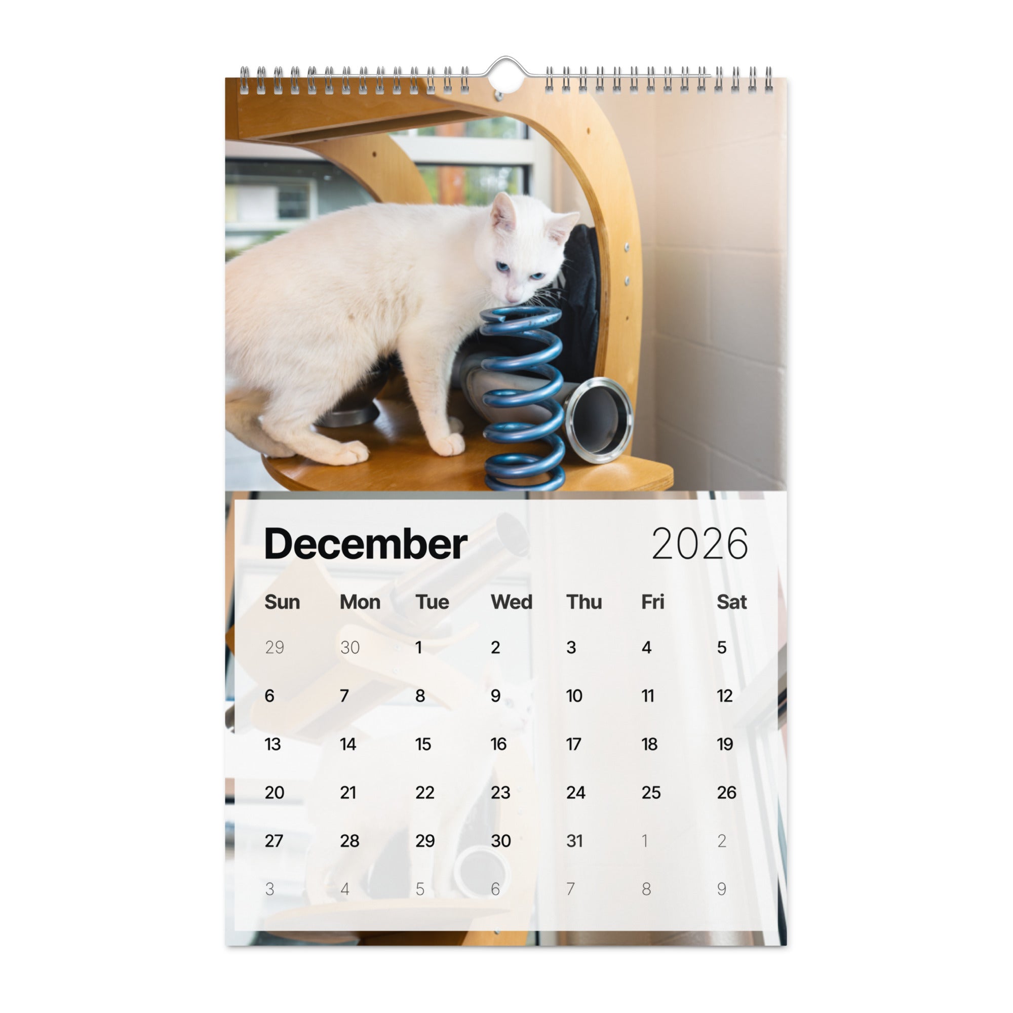 Dundon | Kitsap Humane Society Charity Wall Calendar (2026)