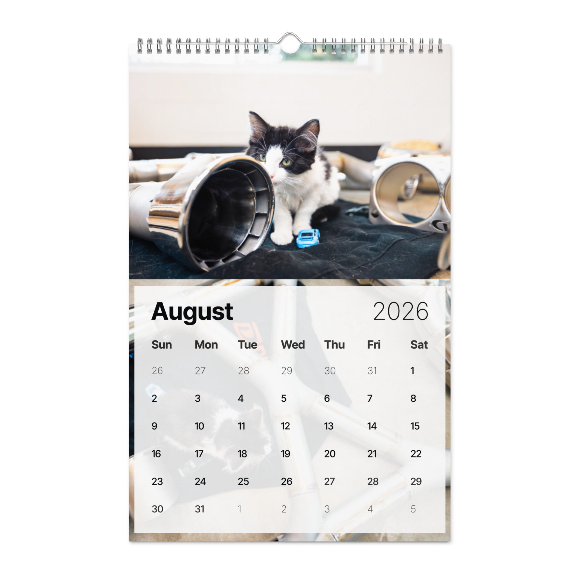 Dundon | Kitsap Humane Society Charity Wall Calendar (2026)