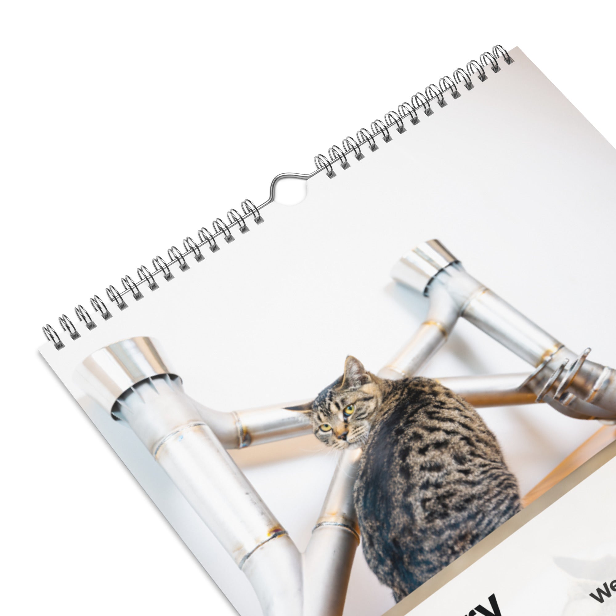 Dundon | Kitsap Humane Society Charity Wall Calendar (2026)