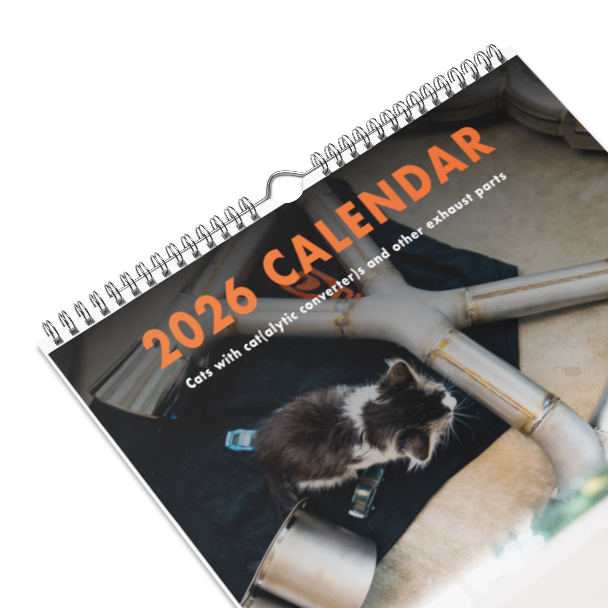 Dundon | Kitsap Humane Society Charity Wall Calendar (2026)
